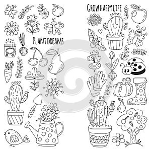 Cute vector garden with birds, cactus, plants, fruits, berries, gardening tools, rubberboots Garden market pattern in