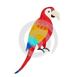 Cute vector hand drawn sketch of ara macaw bird