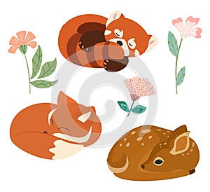 Cute vector illustration with little fox, red panda and deer isolated on white background. Can be used as elements for banner, pos