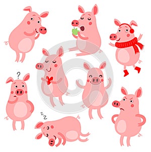 Cute vector pigs