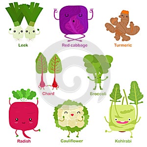 Cute vector of square shaped smiling fruit, vegetable with happy face - Leek Red cabbage Turmeric Broccoli Cauliflower Chard