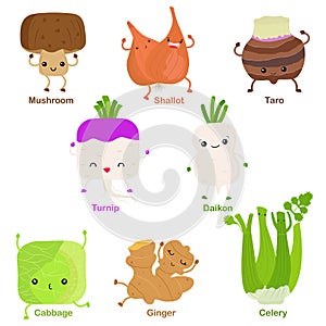 Cute vector of square shaped smiling fruit, vegetable with happy face - Turnip Shallot Daikon Taro Mushroom Cabbage Celery Ginger. photo