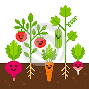 Cute vegetable garden illustration