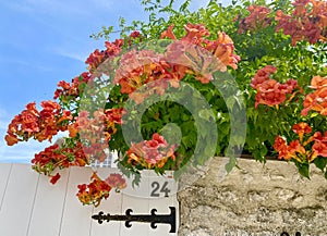 A cute view of the charming little town of Provins in France