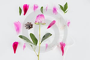 Cute vintage photography with flowers, petals an leaves Flat lay top view.