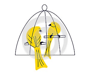 Cute vivid yellow couple of canary birds in cage