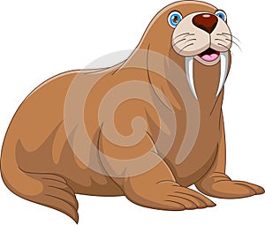 cute walrus cartoon