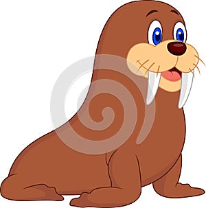 Cute walrus cartoon