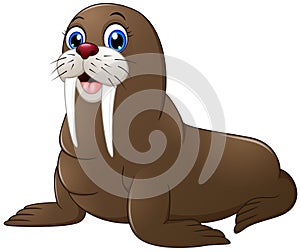 Cute walrus cartoon photo