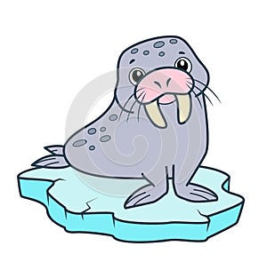 Cute walrus cartoon. Morse clipart vector illustration
