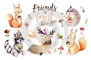 Cute watercolor bohemian baby cartoon hedgehog, squirrel and moose animal for nursary, woodland isolated forest