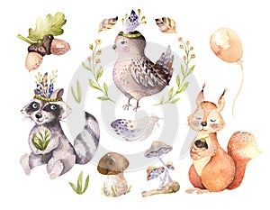 Cute watercolor bohemian baby cartoon hedgehog, squirrel and moose animal for nursary, woodland isolated forest