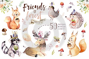 Cute watercolor bohemian baby cartoon hedgehog, squirrel and moose animal for nursary, woodland isolated forest
