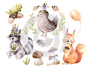 Cute watercolor bohemian baby cartoon hedgehog, squirrel and moose animal for nursary, woodland isolated forest photo