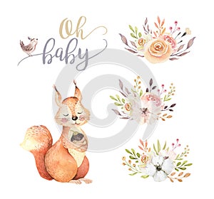 Cute watercolor bohemian baby squirrel animal poster for nursary with bouquets, alphabet woodland isolated forest