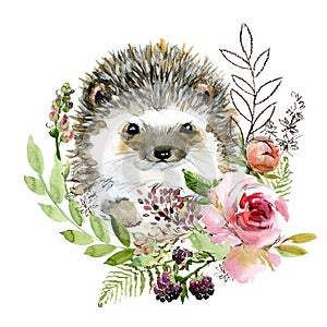 Cute watercolor cartoon hedgehog. forest animal illustration. photo