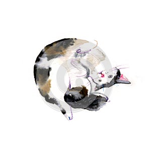 Cute watercolor cat on a white background. Hands drawn kitten illustration -