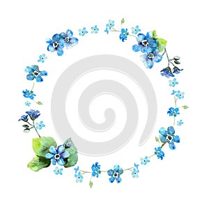 Cute watercolor circular flower frame. Background with watercolor forget me nots