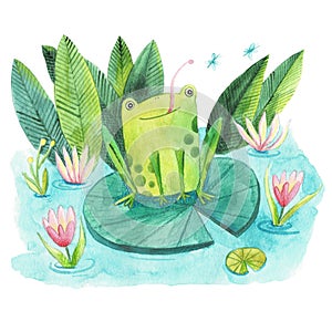 Cute watercolor and frog illustration. Isolated object.