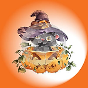 cute watercolor halloween black cat with witch hat design illustration