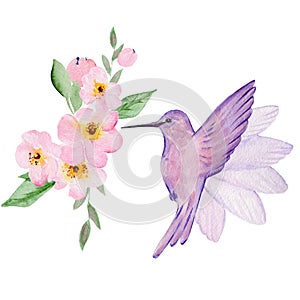 Cute watercolor hand drawn illustration of flowers and birds isolated on a white background, for Valentine`s Day greeting card,