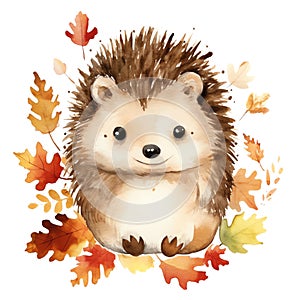 Cute watercolor hedgehog with floral plants illustration, woodland animals clipart