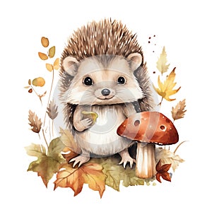 Cute watercolor hedgehog with floral plants illustration, woodland animals clipart