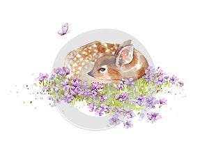 Cute watercolor illustration baby dappled deer with purple flowers and butterfly. For children design clothing, fabric pattern. Wi