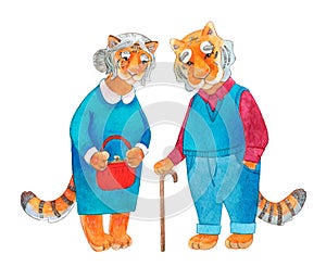 Cute watercolor old tiger and tigress character