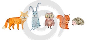 Cute watercolor owl, hedgehog, fox and squirrel