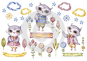 Cute watercolor owls collection, floral elements