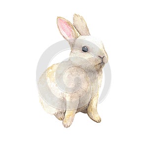 Cute watercolor rabbit on isolated white background