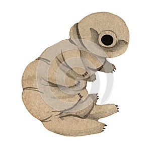 Cute watercolor tardigrades, water bear. Curl up pose