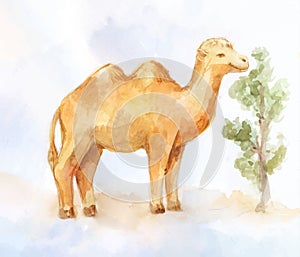 Cute watercolor two-humped camel with bush