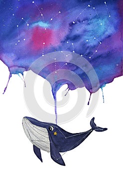 Cute watercolor whale with stars and cosmos design. Isolated. Use for card, postcard, t shirt etc. Hand drawing