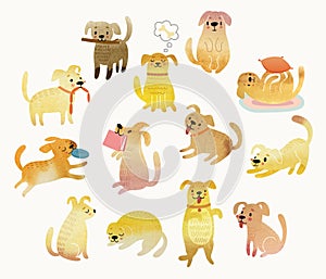 Cute Watercolor yellow dogs.