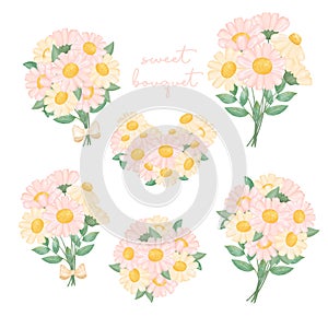 Cute watercolour pink and white cream daisy flowers bouquet with green leaf collection hand draw illustration vector
