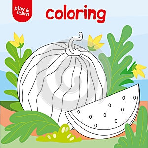 Cute Watermelon in Garden Coloring for Child