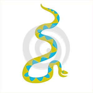 Cute wavy ornamental snakes in cartoon style isolated on white. photo
