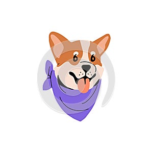 Cute Welsh Corgi avatar. Funny muzzle of toy breed puppy. Lovely dog face shows tongue. Amusing pup snout portrait