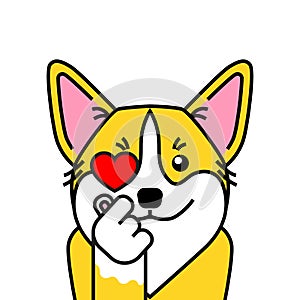 Cute welsh corgi dog loves k pop