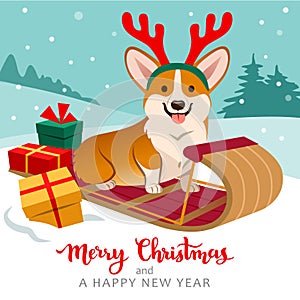 Cute welsh corgi dog sitting on sled wearing reindeer antlers wi
