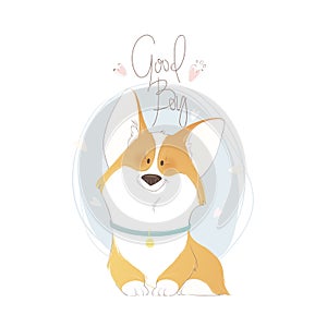 Cute welsh corgi with lettering good boy. Funny vector illustration. Portrait of a dog for decoration and design. photo