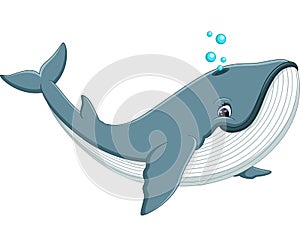 Cute whale cartoon