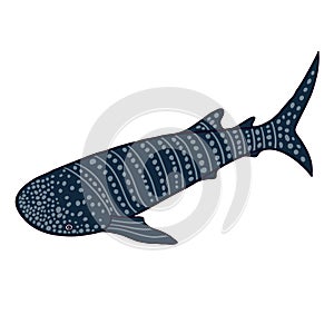 Cute whale shark with wide eyes on white background