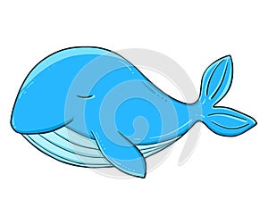 Cute whale. Vector illustration of a series of marine animals. A picture for children\'s educational books, for a print