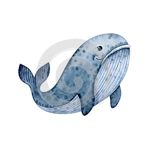 Cute whale-watercolor illustration isolated on white background