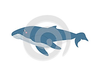 Cute whale on white background in cartoon flat style. Vector illustration