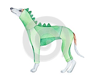 Cute whippet dog wearing funny hooded dinosaur onesie. Standing profile view.