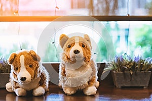Cute white and brown dogs doll sit on counter near large glass window in coffee shop. Lovely animal toys decoration in cafe.